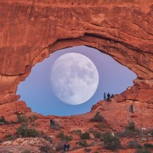 Meet your Posher, Robin